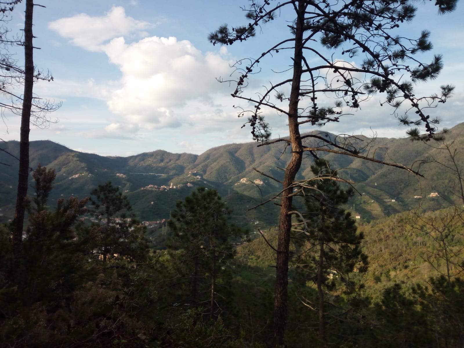 levanto-colline